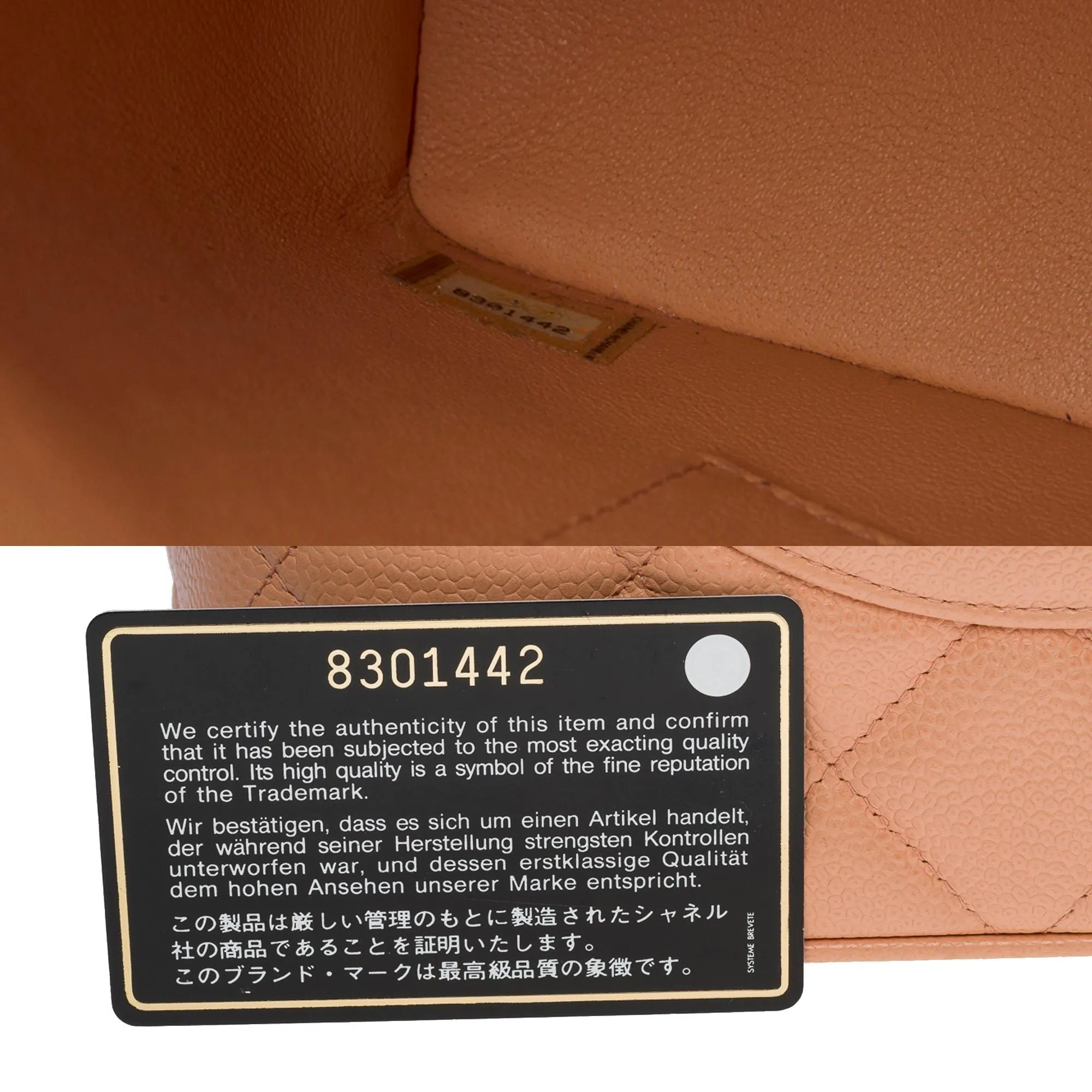 CHANEL Beautiful Cabas Medallion bag in salmon caviar leather, GHW